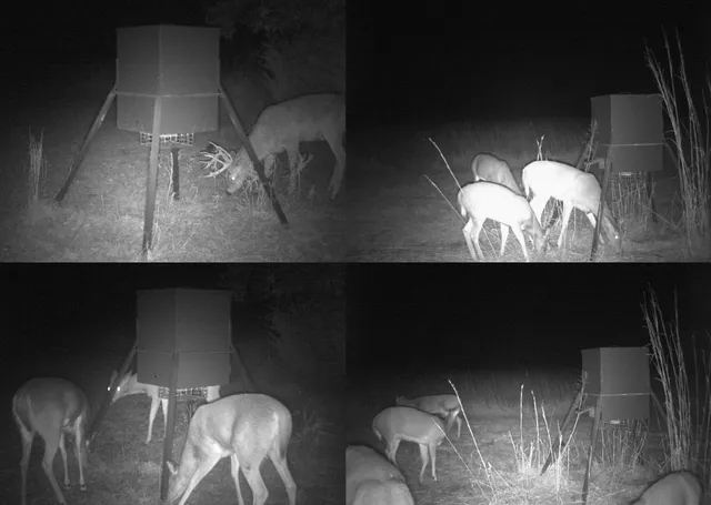 $6,700,000 | 1051 North Blackstone Road, Milton, KS 67106