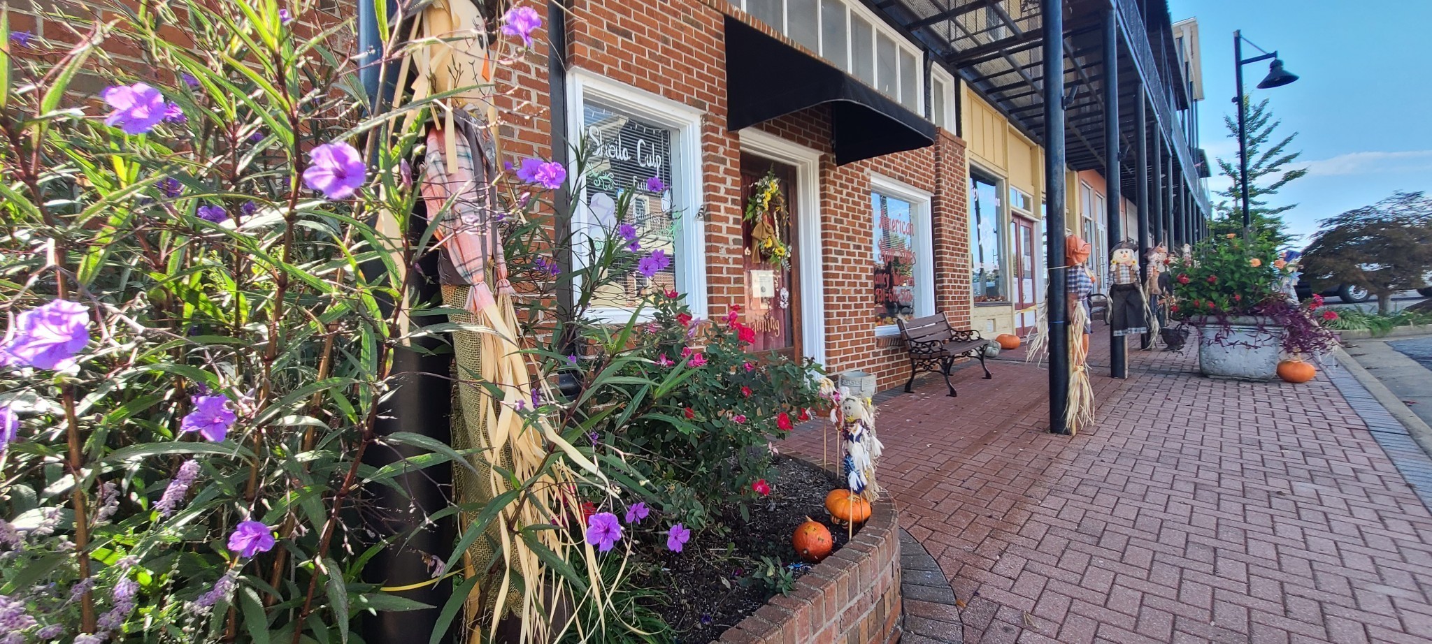 2563 Hardin Bottom River Road Clifton, TN 38425 - Photo 15 of 18 a view of path along with flowers and flowers
