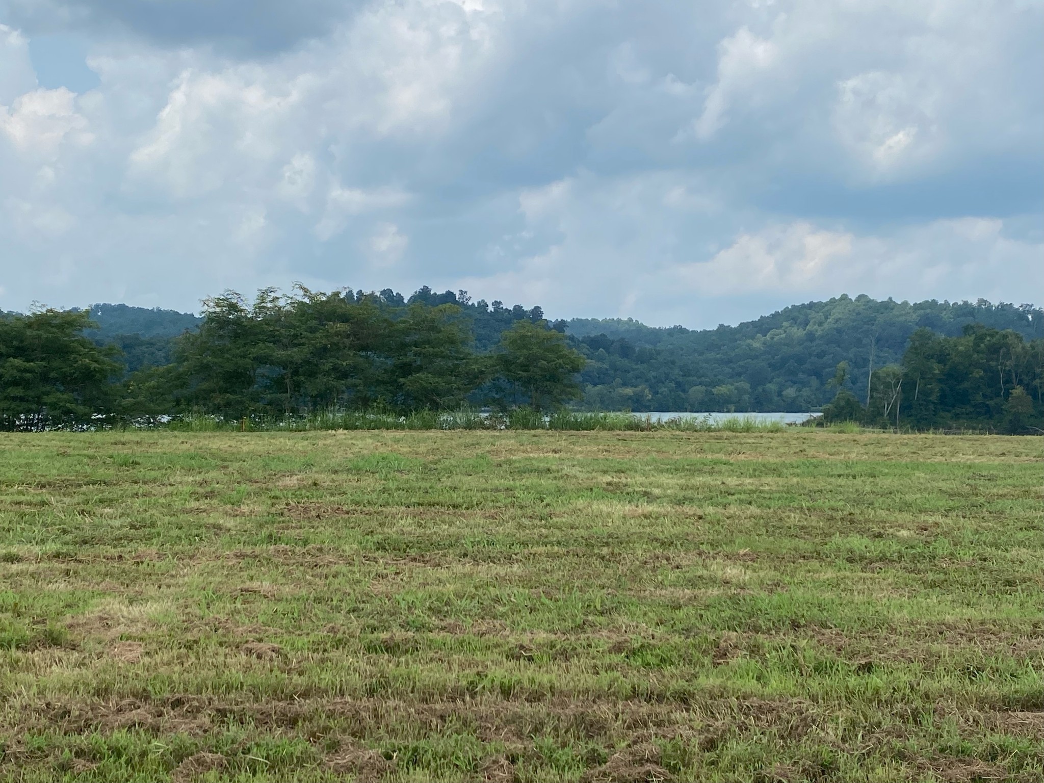 2563 Hardin Bottom River Road Clifton, TN 38425 - Photo 2 of 18 a view of a field with an ocean and trees