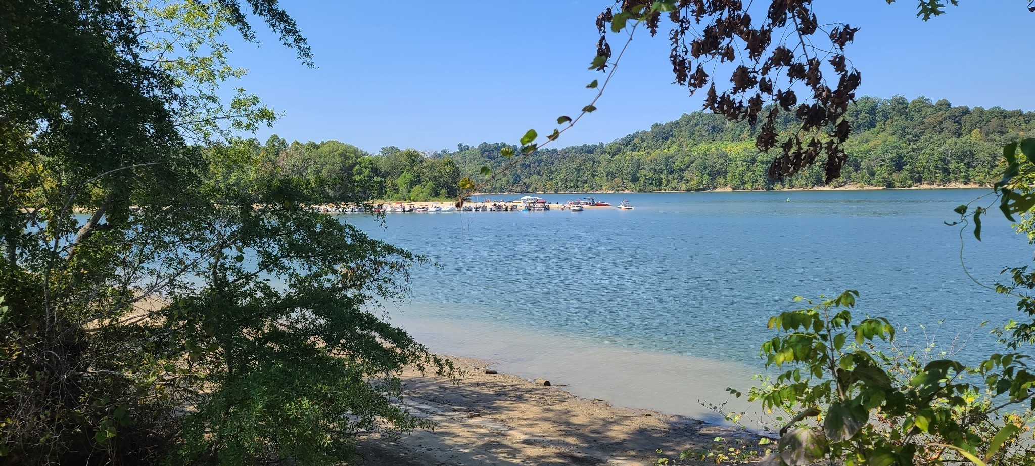 2563 Hardin Bottom River Road Clifton, TN 38425 - Photo 3 of 18 a view of a outdoor space