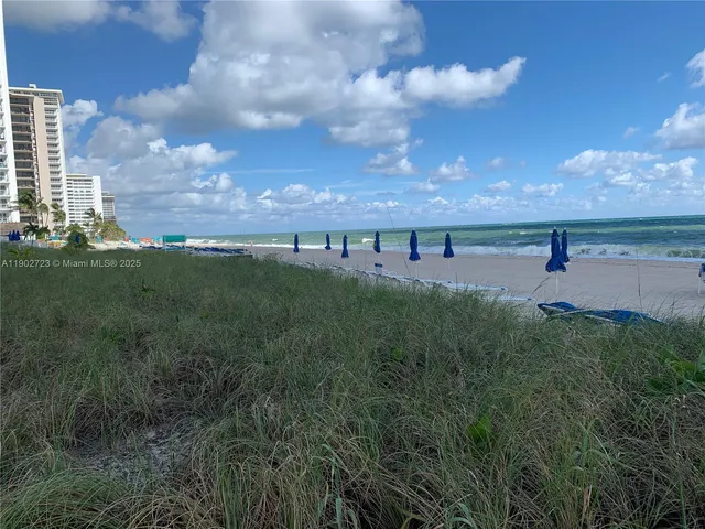 a view of a lake and a yard