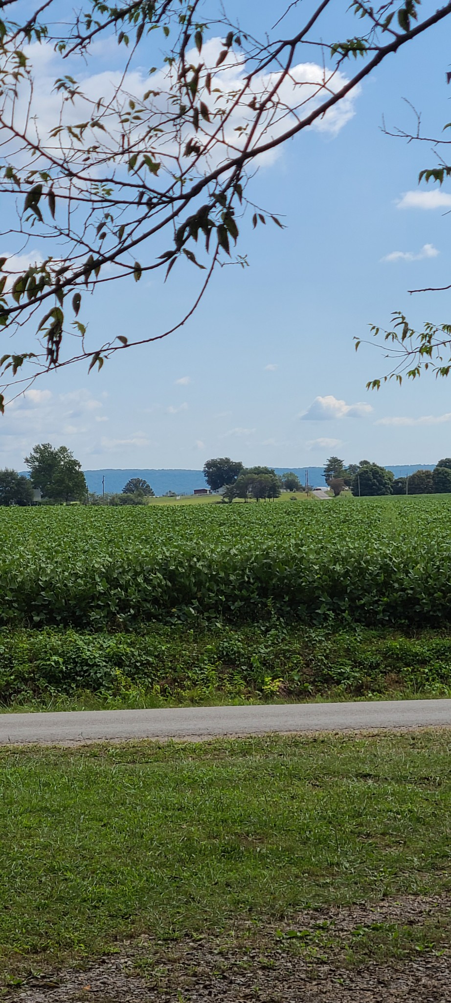 2729 Rutledge Hill Road Hillsboro, TN 37342 - Photo 2 of 24 Gallery Image 2