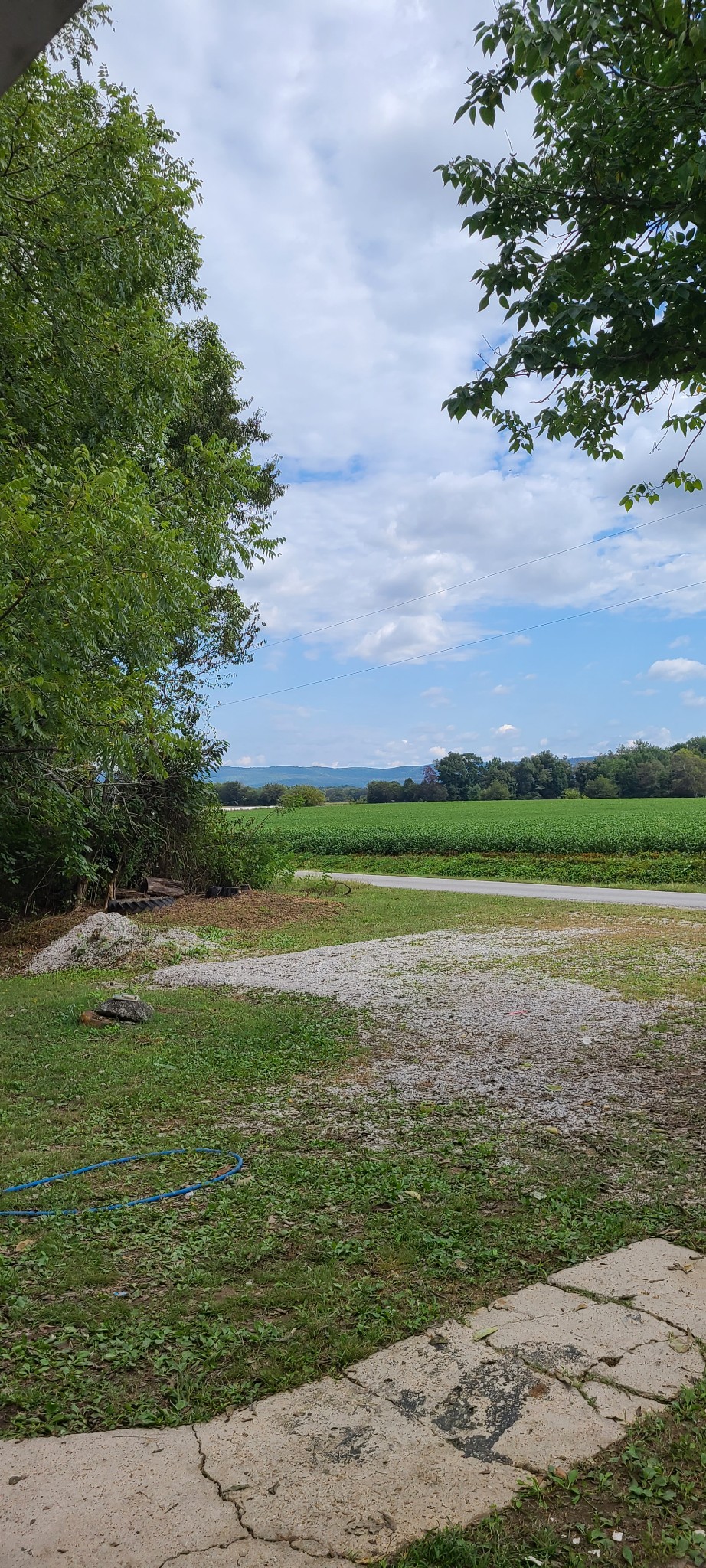 2729 Rutledge Hill Road Hillsboro, TN 37342 - Photo 3 of 24 Gallery Image 3