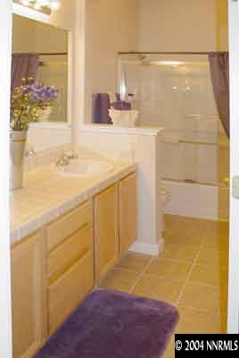 1601 Dutch Ravine Court Reno, NV 89521 - Photo 9 of 9 a bathroom with a sink and a shower