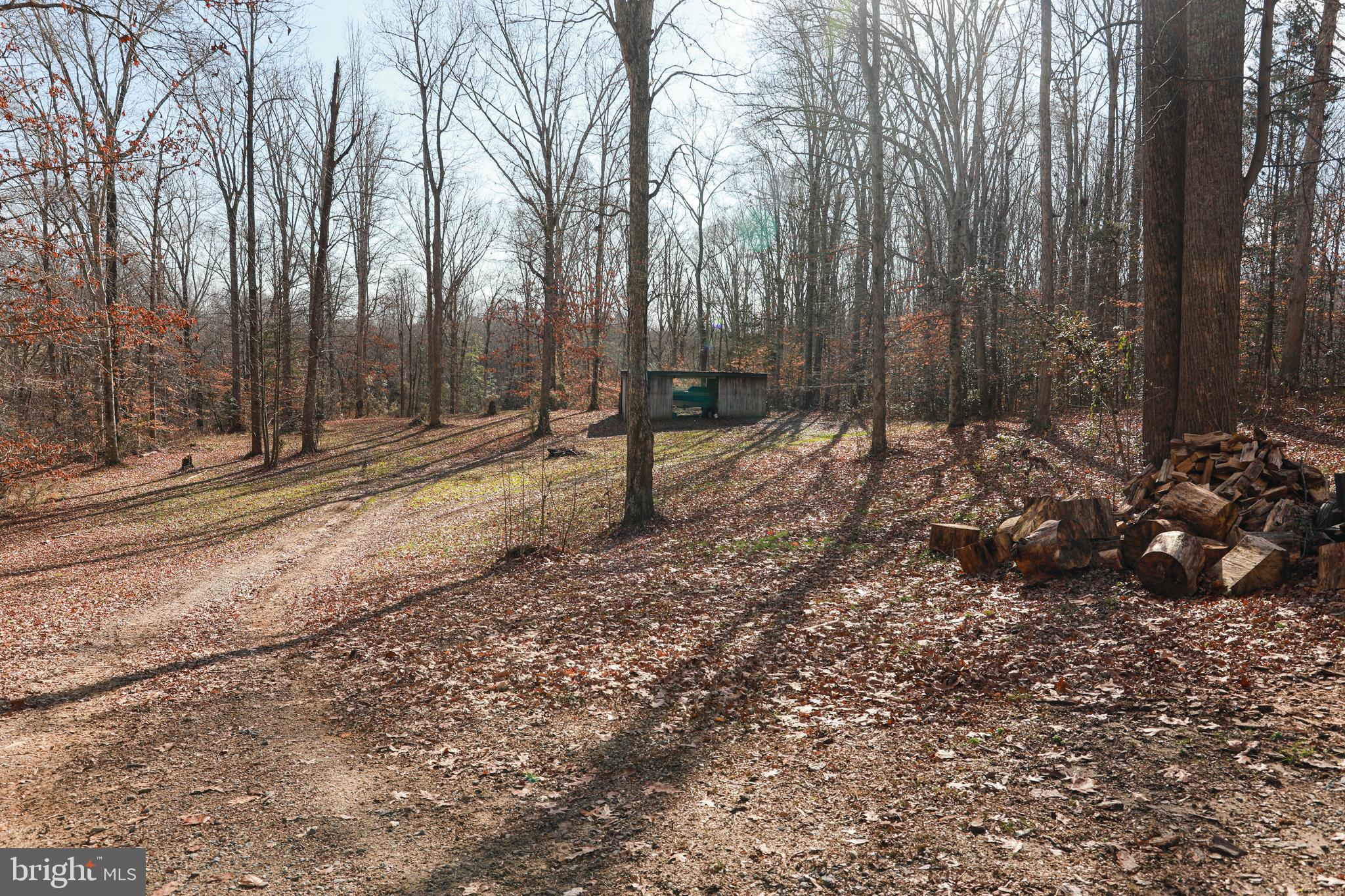 10510 Fairview Road Partlow, VA 22534 - Photo 45 of 56