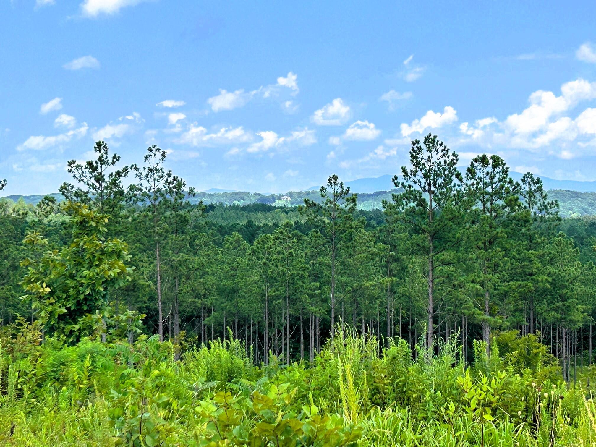 18 Hughes Lake Road Southeast Cleveland, TN 37323 - Photo 13 of 32