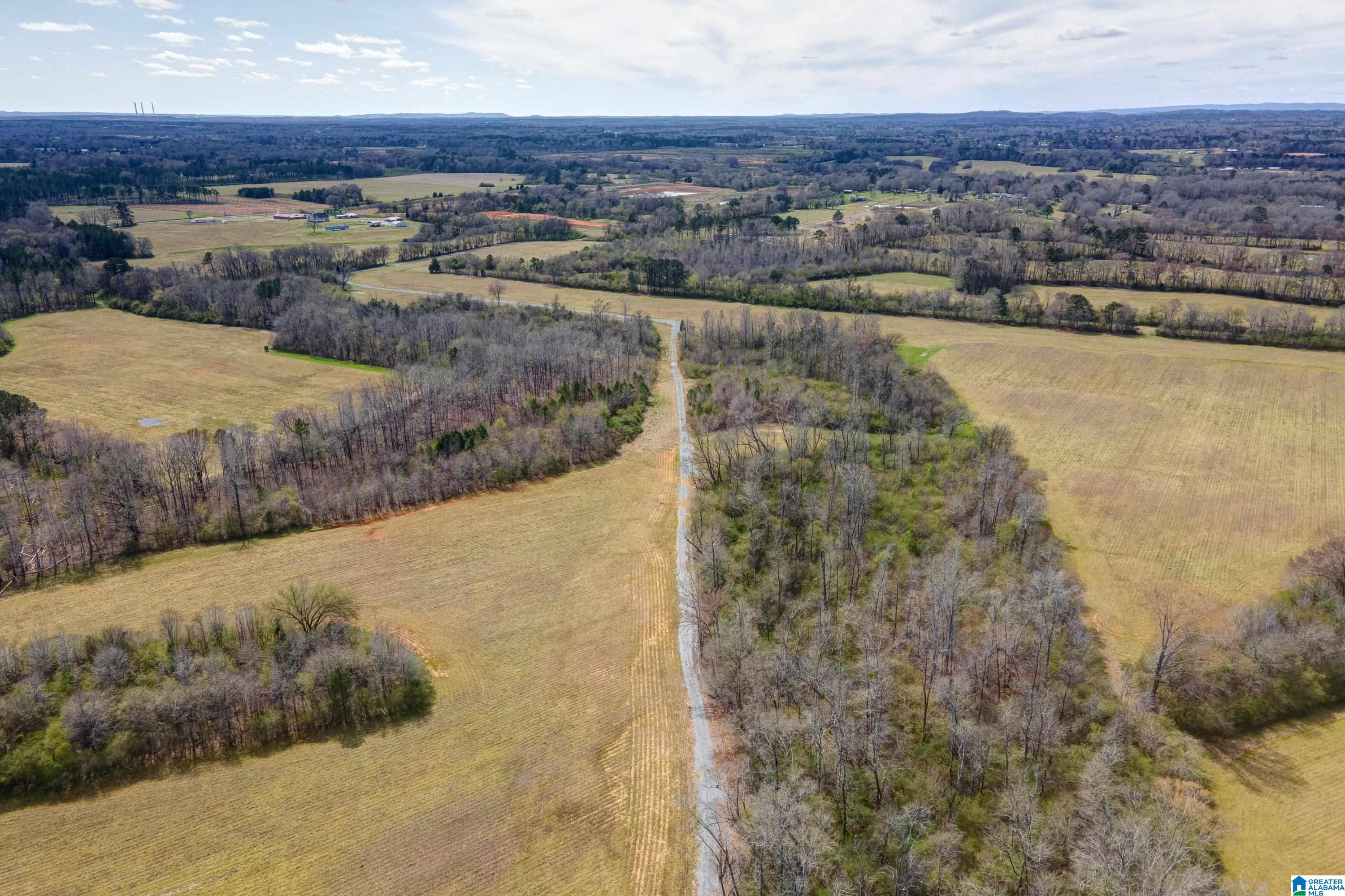 Bates Road, Unit 100 Vincent, AL 35178 - Photo 10 of 29
