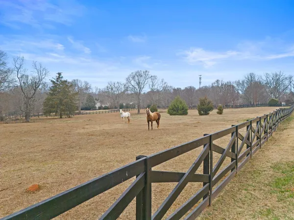 $3,950,000 | 1035 Willis Road, Spartanburg, SC 29301