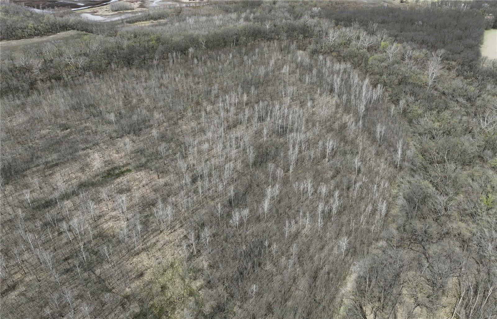 0 McAllister Road Houstonia, MO 65333 - Photo 18 of 39