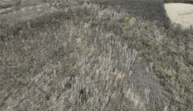 $3,311,500 | 0 McAllister Road, Houstonia, MO 65333