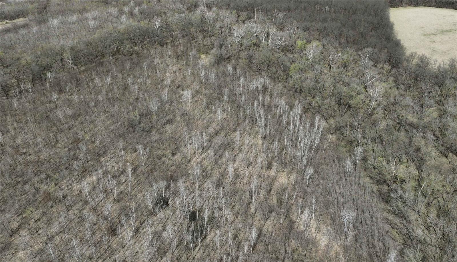 0 McAllister Road Houstonia, MO 65333 - Photo 19 of 39