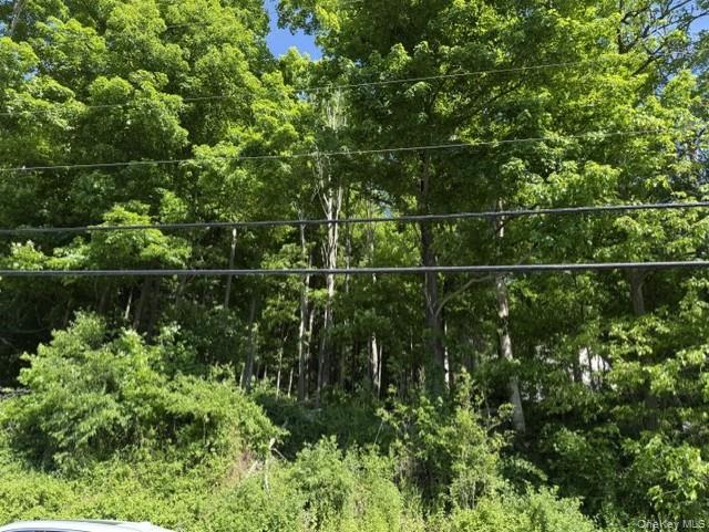 487 Sprout Brook Road Garrison, NY 10524 - Photo 2 of 6