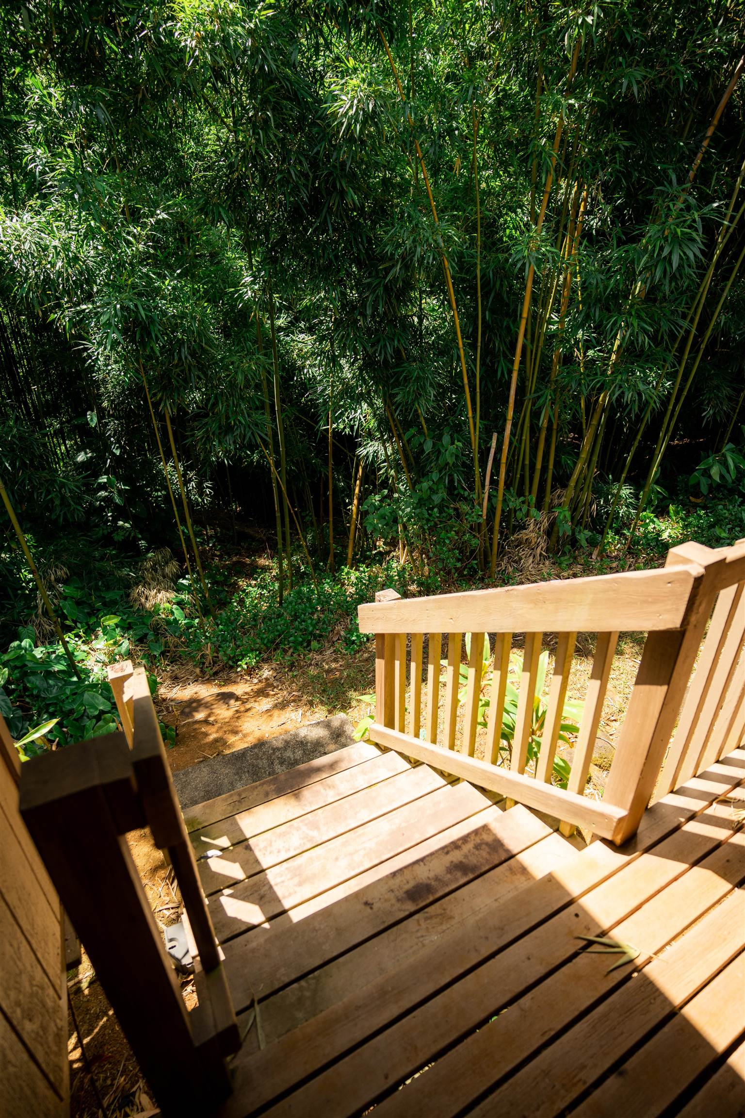 60 Lepo Place Haiku, HI 96708 - Photo 18 of 29