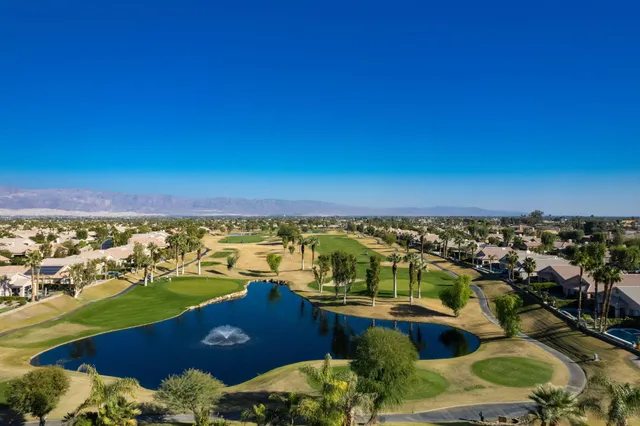 a view of a pathway with a flower plants