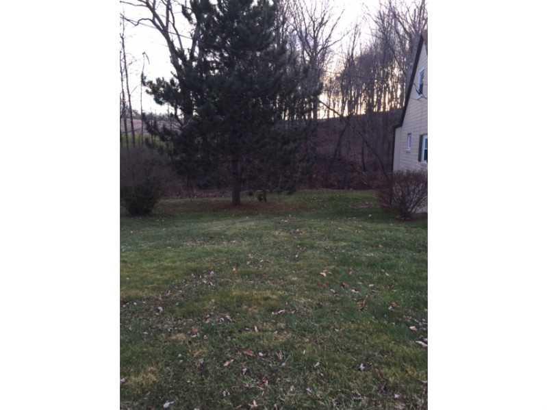 342 Freeport Road Butler, PA 16002 - Photo 8 of 25 Yard/Garden.