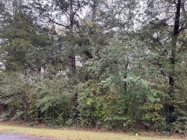 $69,000 | 0 Clinton Crossing Drive, Gray, GA 31032