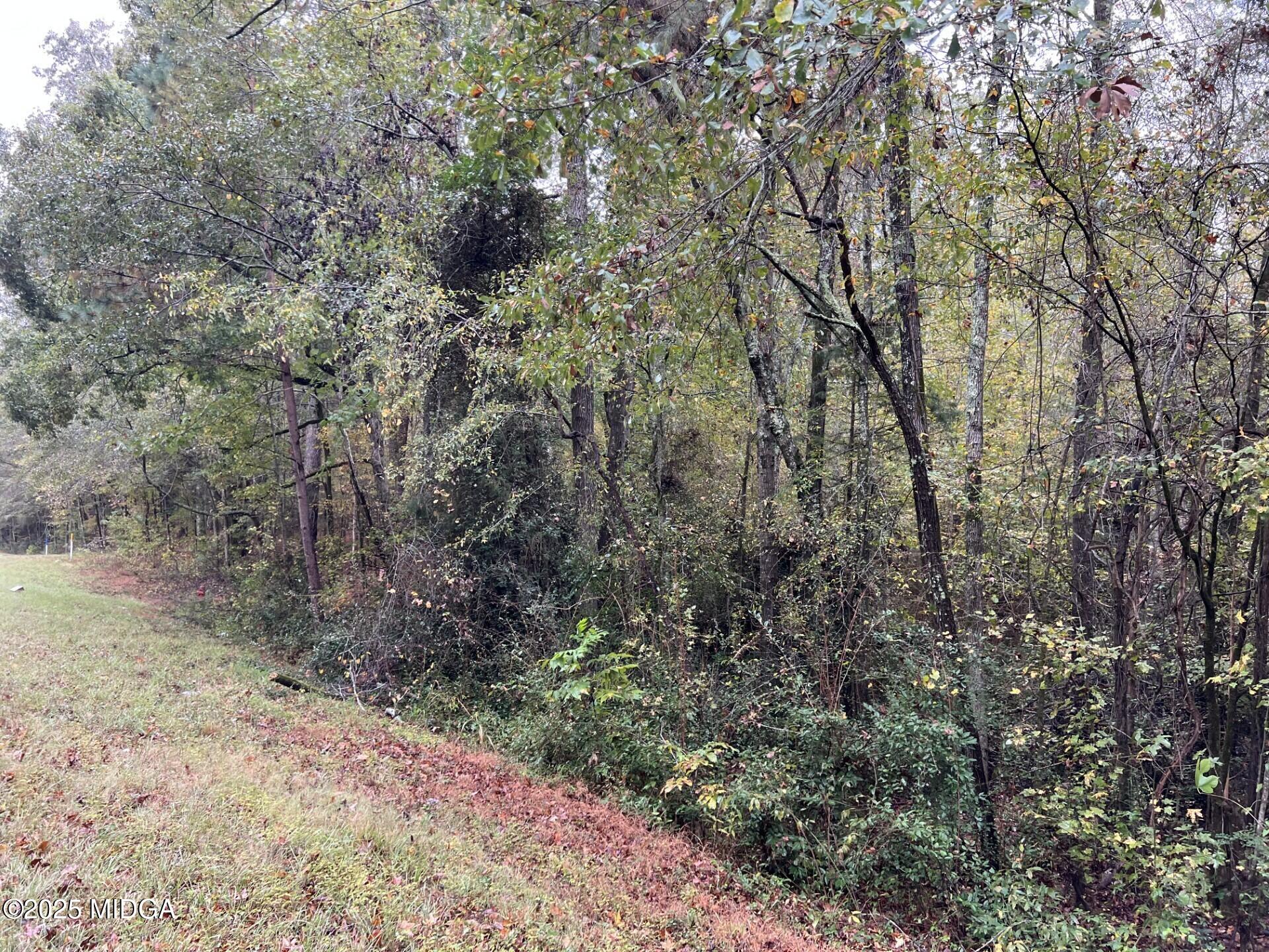 0 Clinton Crossing Drive Gray, GA 31032 - Photo 4 of 11 a view of a forest with trees in the background