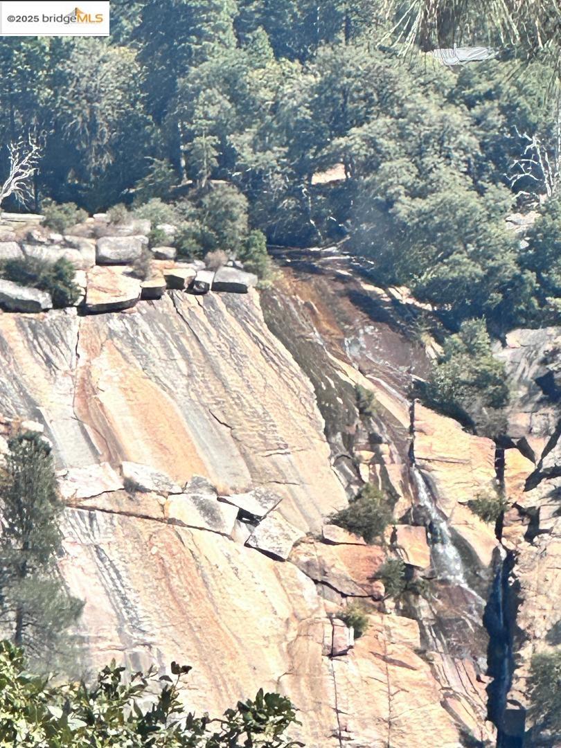 22071 Fallview Lane Sonora, CA 95370 - Photo 11 of 17 a view of a yard with a tree