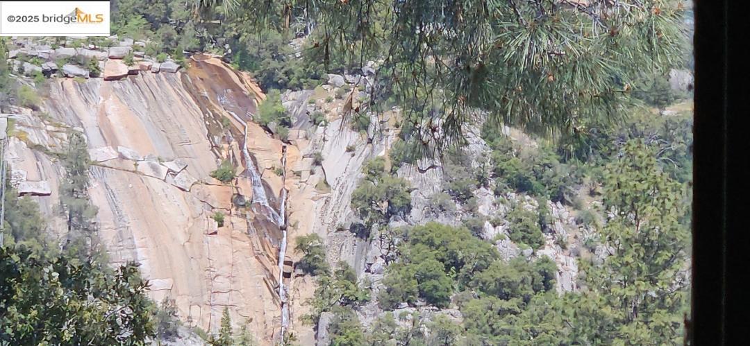 22071 Fallview Lane Sonora, CA 95370 - Photo 4 of 17 a view of a yard with plants and trees