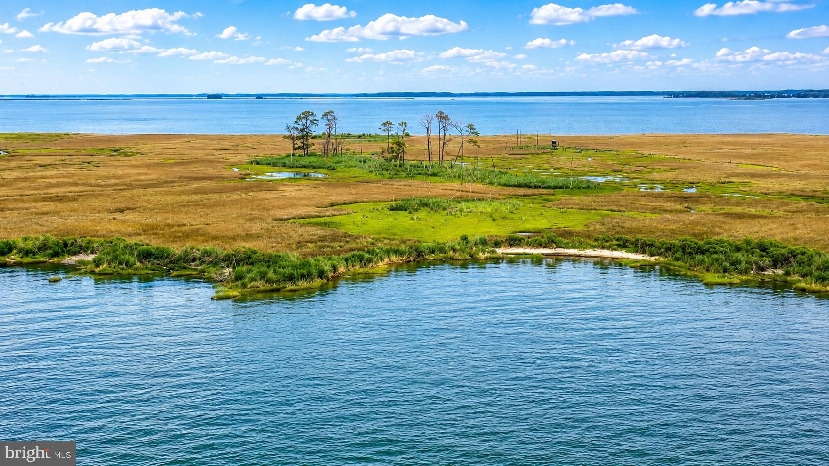 1713 Doeller Road Fishing Creek, MD 21634 - Photo 89 of 96