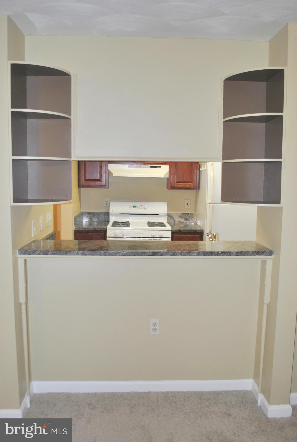 21012 Timber Ridge Terrace, Unit 202 Ashburn, VA 20147 - Photo 15 of 18 Kitchen