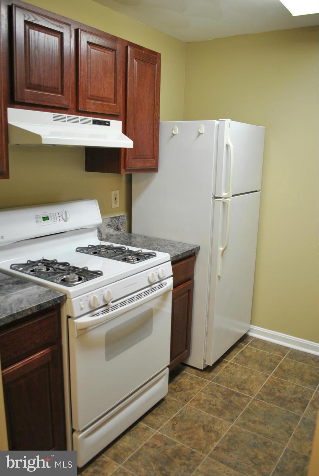 21012 Timber Ridge Terrace, Unit 202 Ashburn, VA 20147 - Photo 9 of 18 Kitchen