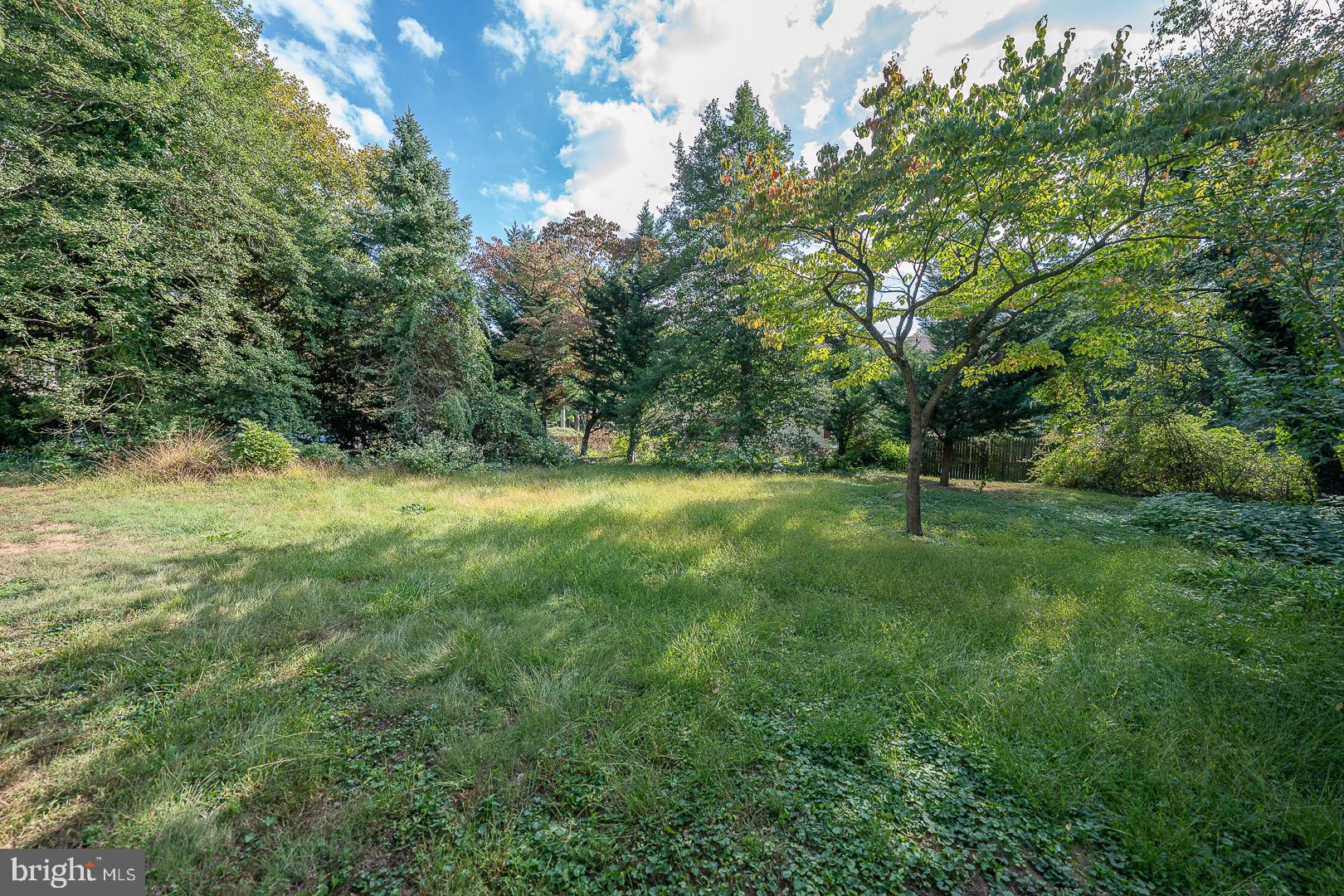 354 Trevor Lane Bala Cynwyd, PA 19004 - Photo 3 of 6