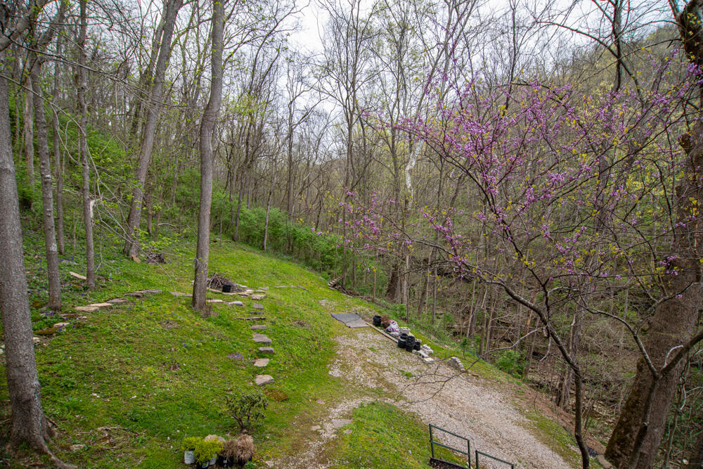 4220 Four Mile Road Winchester, KY 40391 - Photo 39 of 48 39