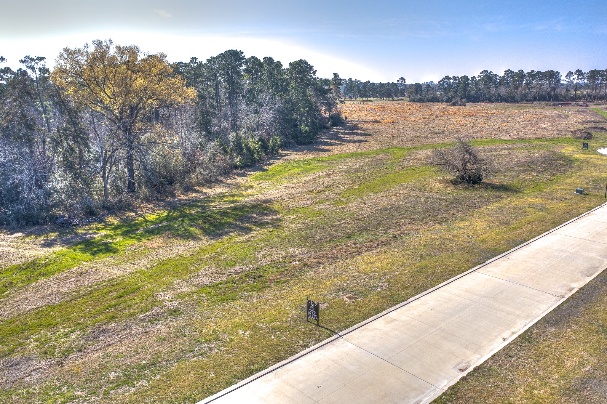Lot 6 Homestead Hill Road New Waverly, TX 77358 - Photo 4 of 10 Lot 6