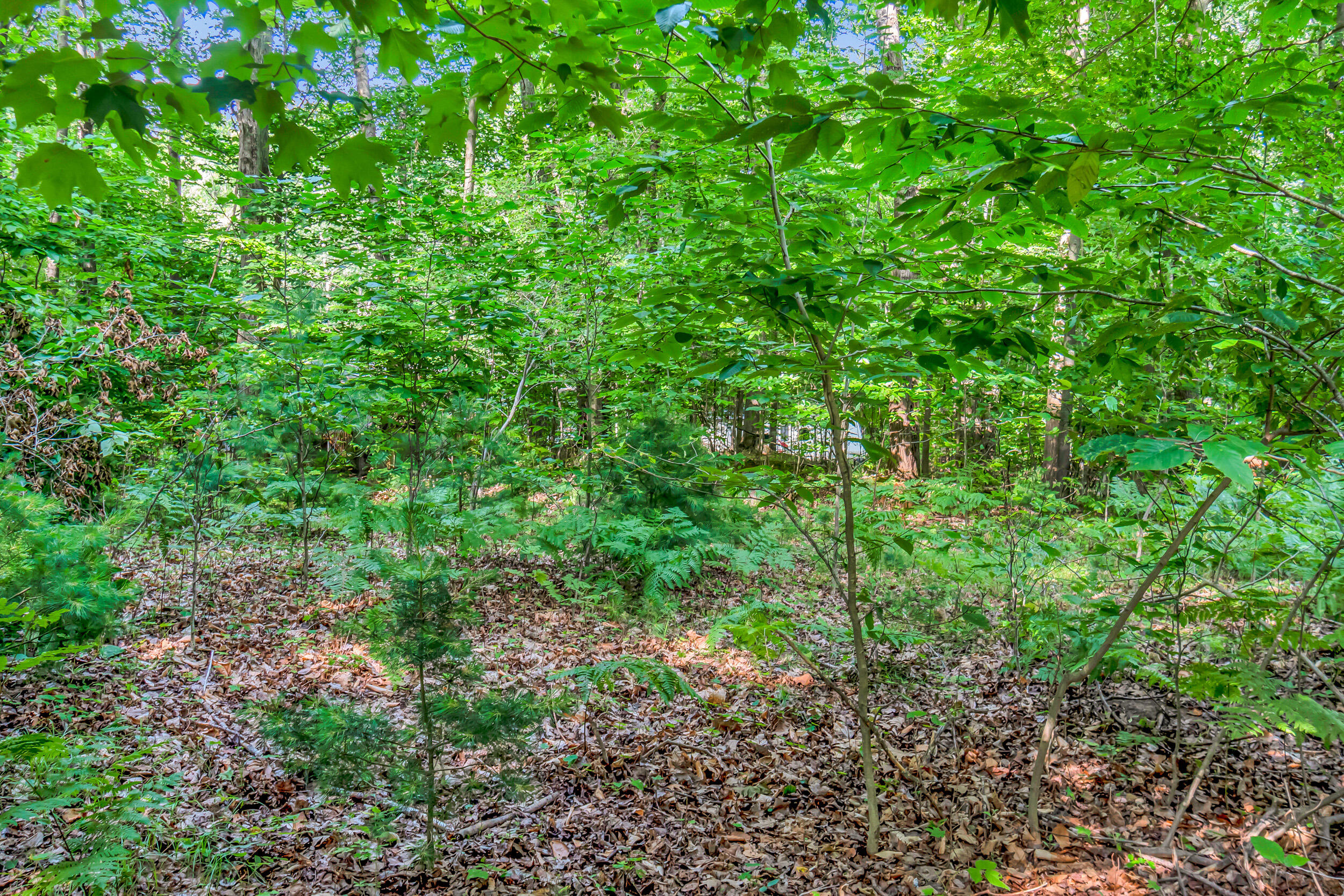 0 Linden Road Ludington, MI 49431 - Photo 16 of 23 13_linden rd-10