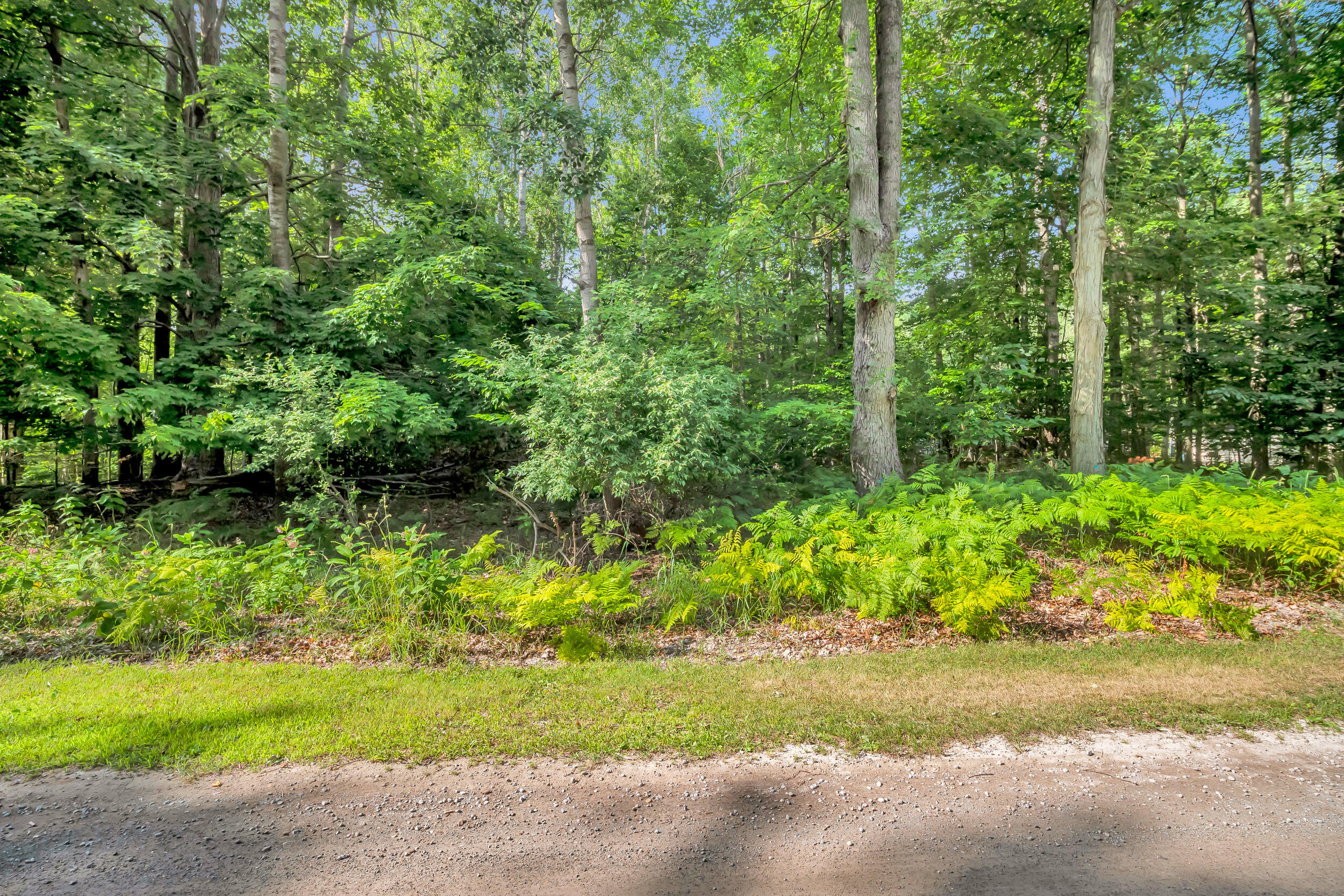 0 Linden Road Ludington, MI 49431 - Photo 6 of 23 16_linden rd-13