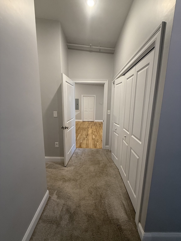 20 Locust Street, Unit 311 Danvers, MA 01923 - Photo 11 of 13 a view of hallway