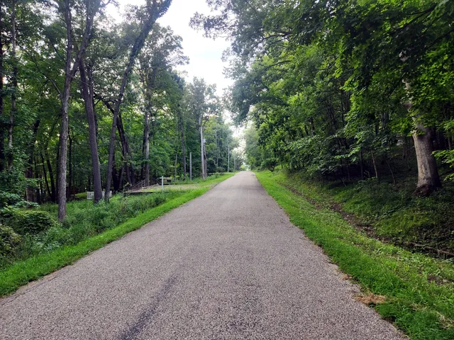 a view of a street with a trees
