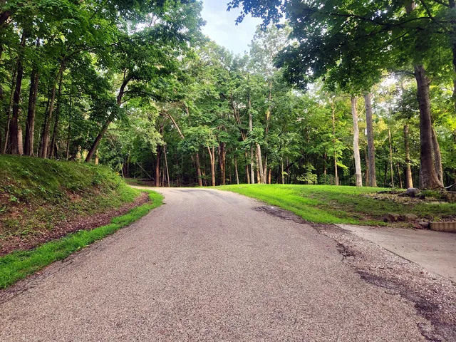 a view of a park with large trees