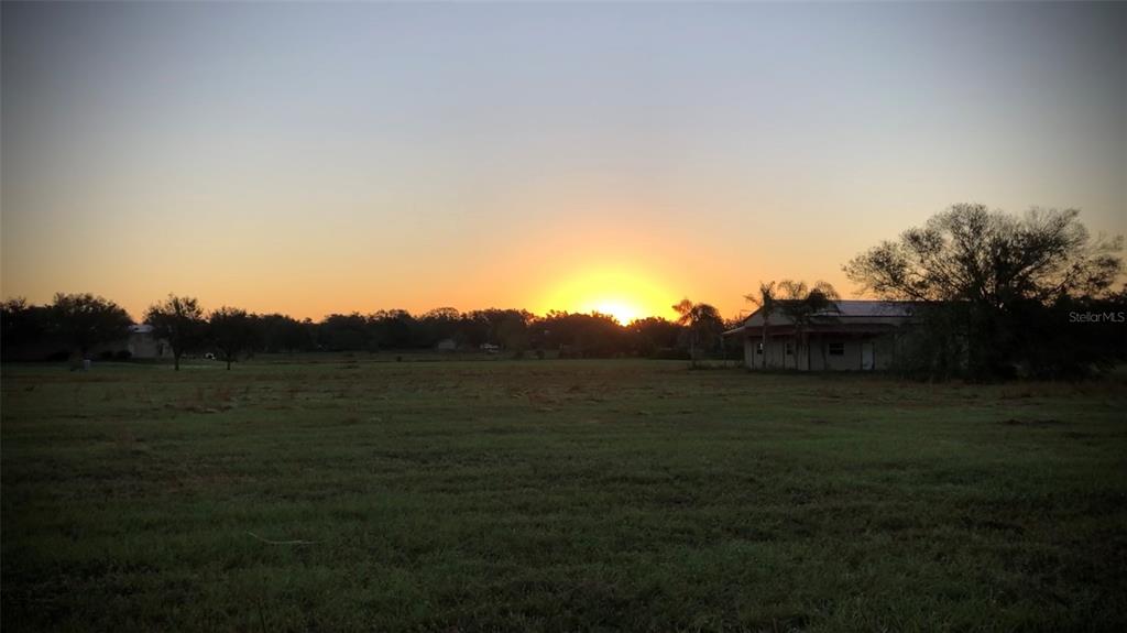 18623 Dorman Road Lithia, FL 33547 - Photo 7 of 7 Beautiful Sunrise from the property