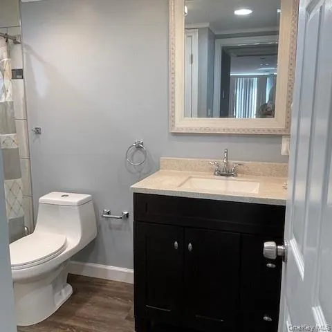 a bathroom with a sink toilet and mirror