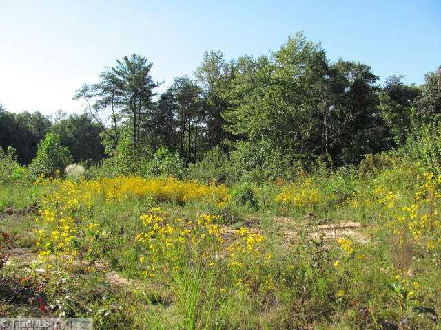 0 Fisher Valley Road Dobson, NC 27017 - Photo 1 of 7 Land/Lot.