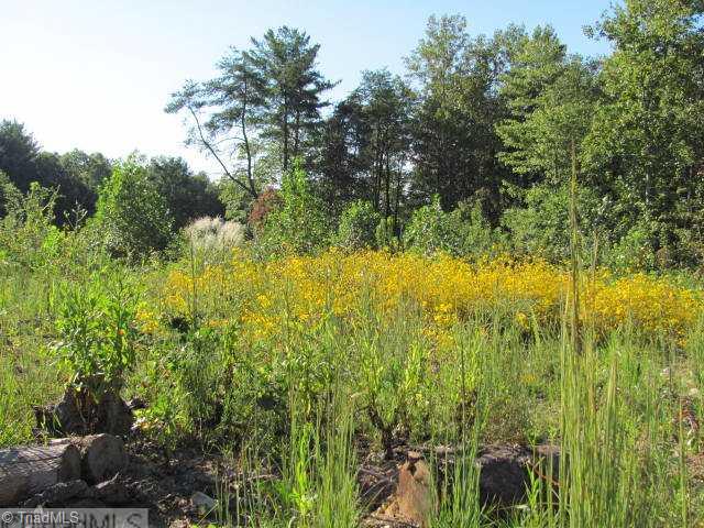0 Fisher Valley Road Dobson, NC 27017 - Photo 2 of 7 Land/Lot.