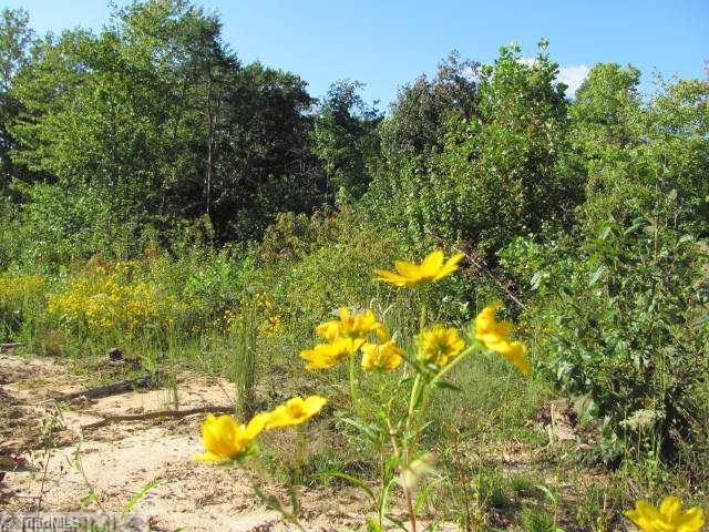 0 Fisher Valley Road Dobson, NC 27017 - Photo 3 of 7 Land/Lot.