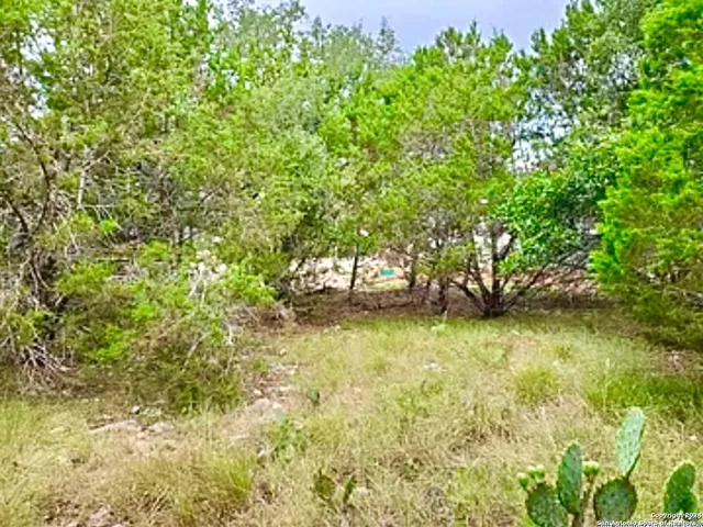 $105,000 | 119 North John Bird, Blanco, TX 78606