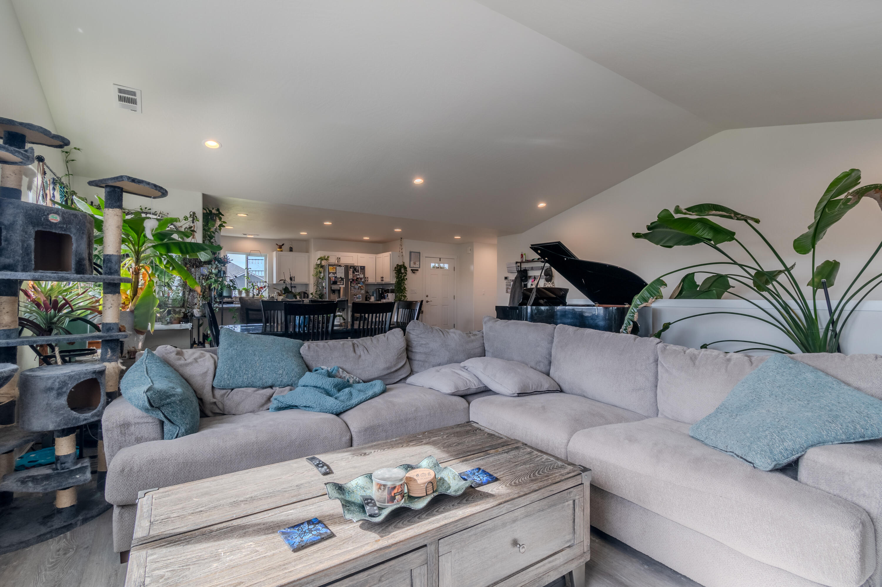 21 Cerulean Terrace Eagle Point, OR 97524 - Photo 6 of 30 a living room with furniture and a potted plant
