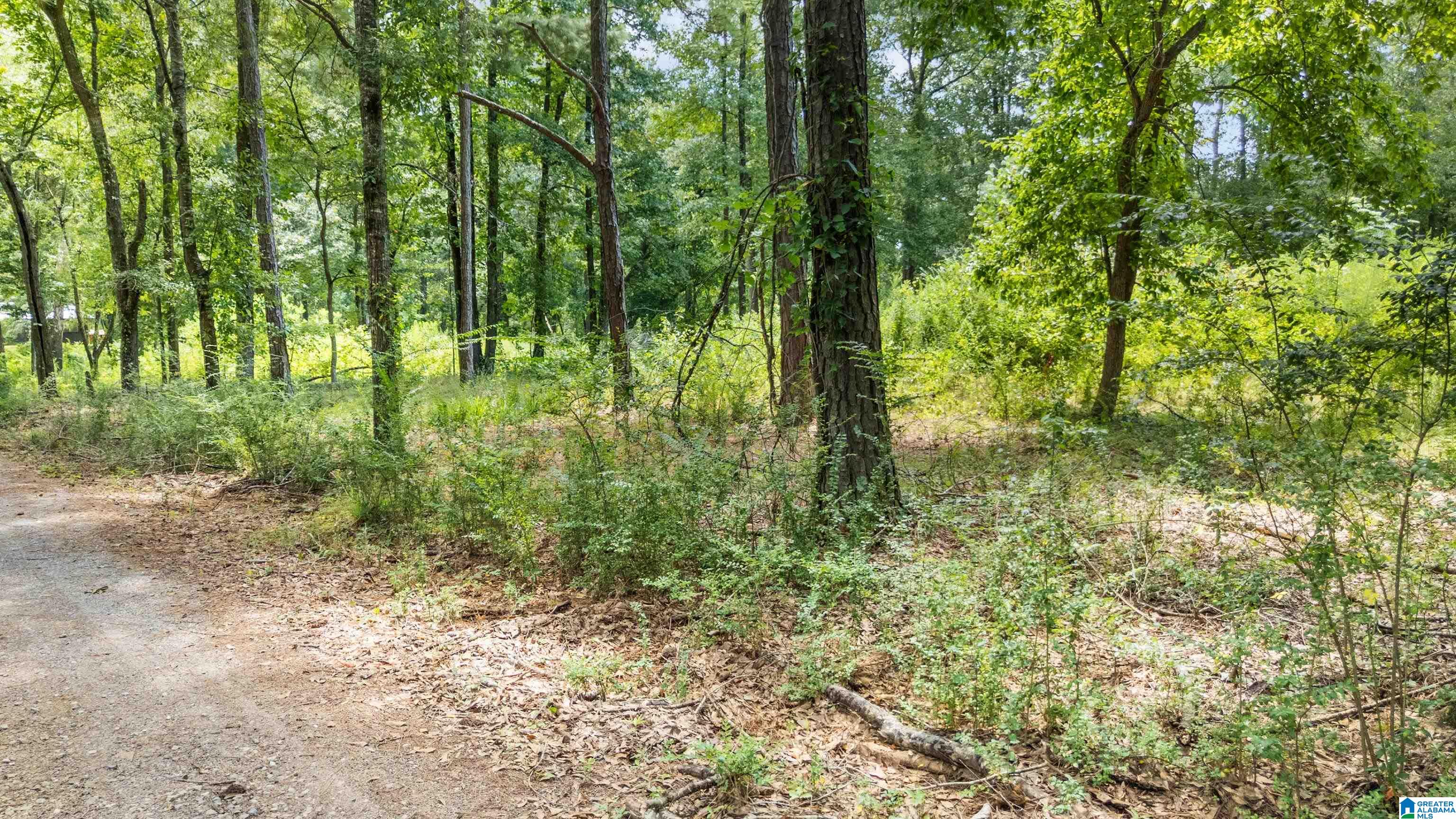 Lot 7 Hebb Road, Unit 7A Wilsonville, AL 35186 - Photo 21 of 29 Gallery Image 21