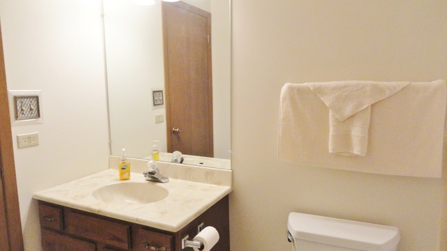 11 Prairie Drive Addison, IL 60101 - Photo 15 of 20 a bathroom with a sink and a mirror