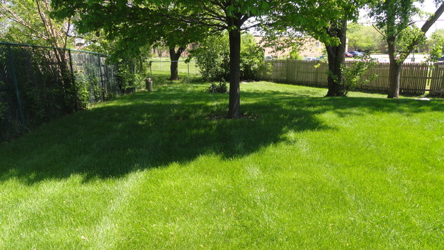 11 Prairie Drive Addison, IL 60101 - Photo 19 of 20 a view of an outdoor space with a lake view