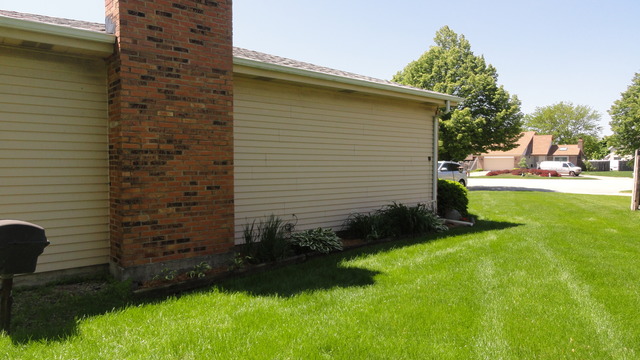 11 Prairie Drive Addison, IL 60101 - Photo 20 of 20 a view of a backyard with plants and a patio