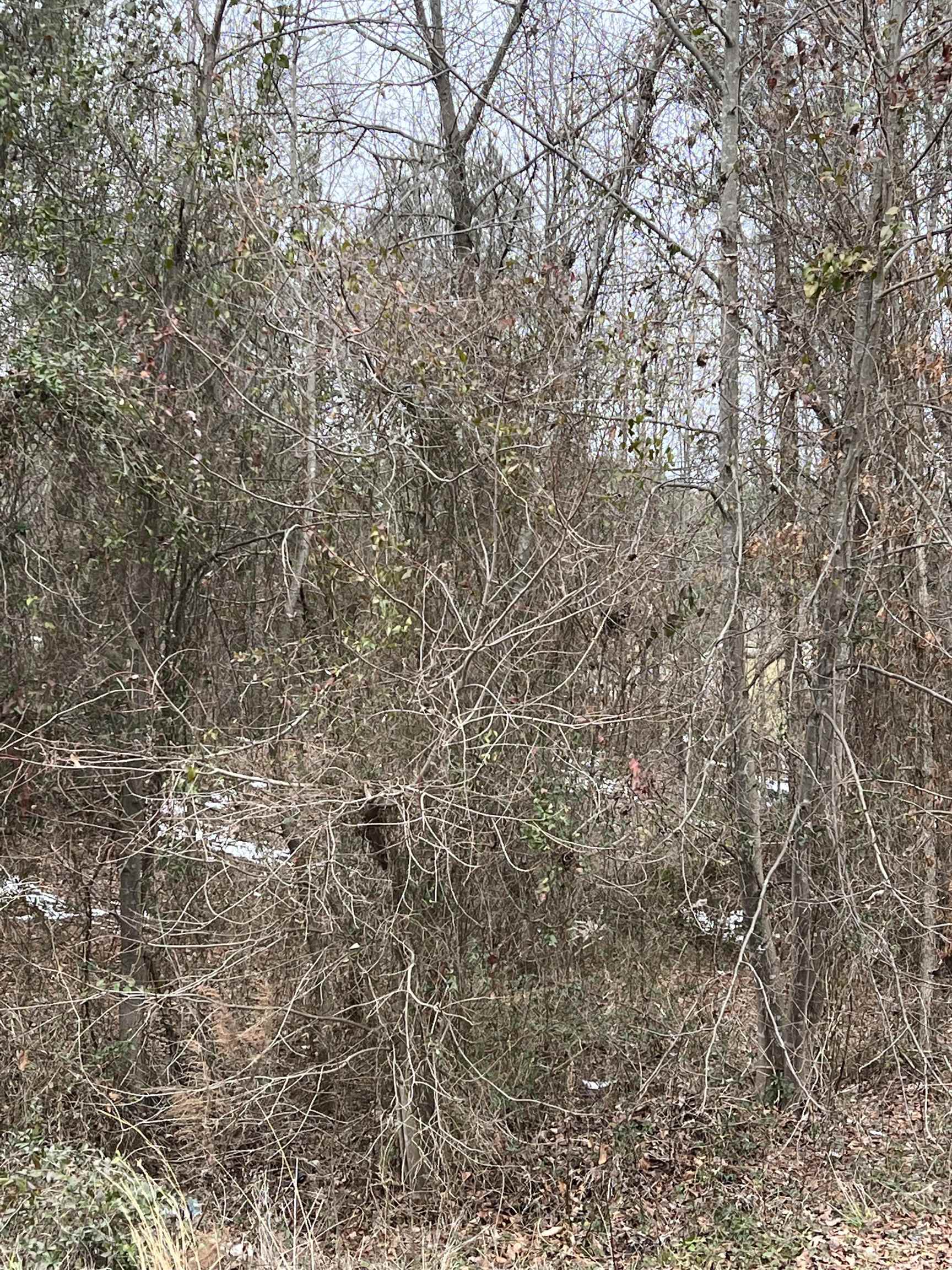 2843 Highway 292 Inman, SC 29349 - Photo 1 of 2