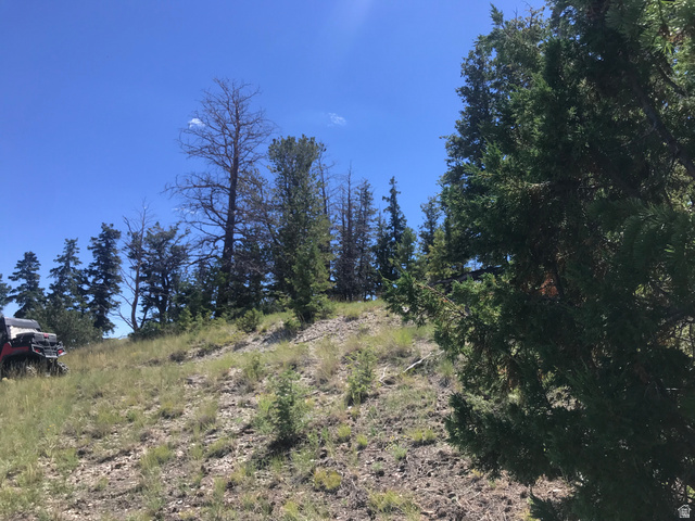 Undisclosed Address Duchesne, UT 84021 - Photo 7 of 29