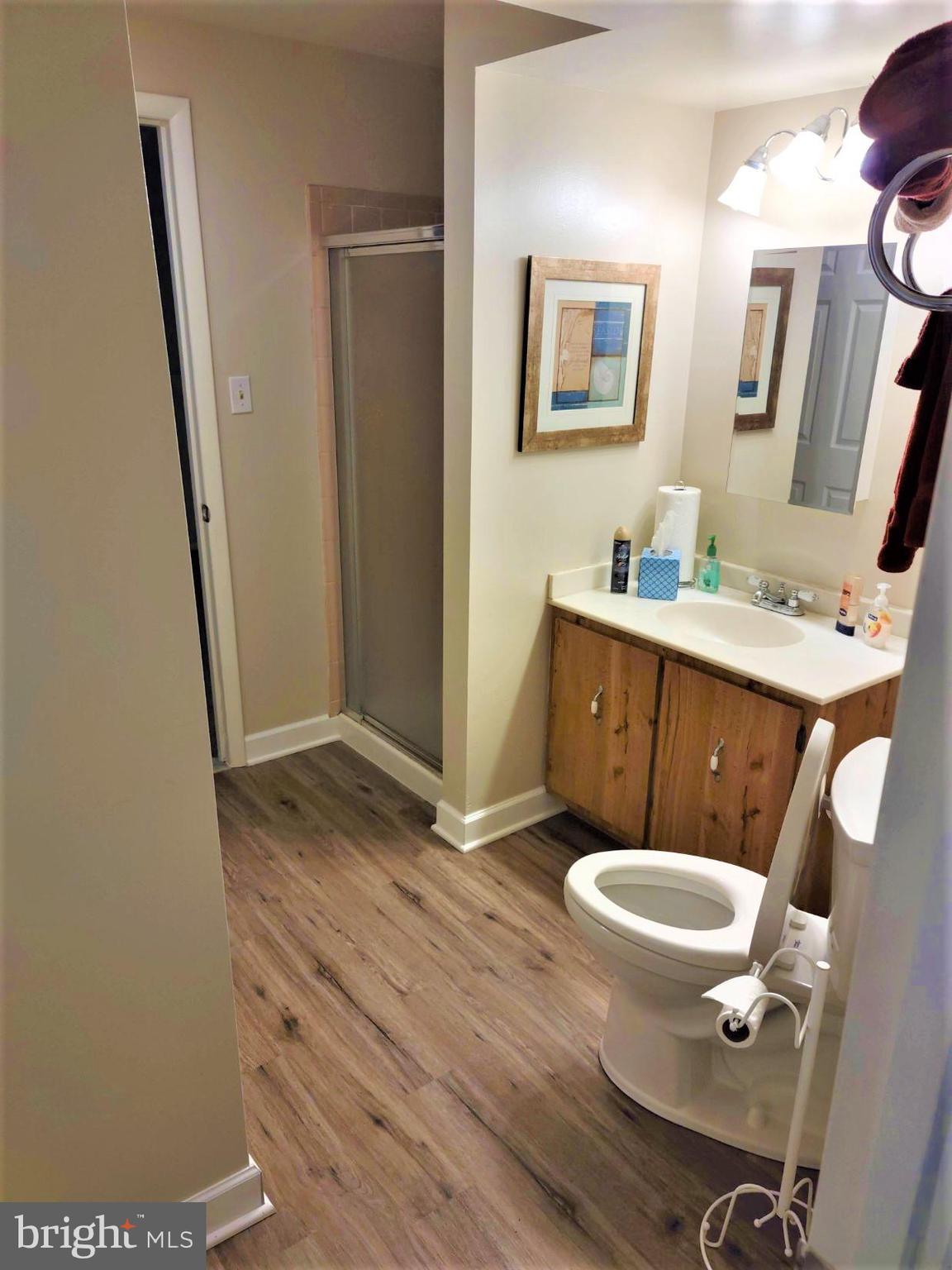 6019 Suzanne Road Waldorf, MD 20601 - Photo 15 of 20 Vanity, Shower and Bath Lower Level