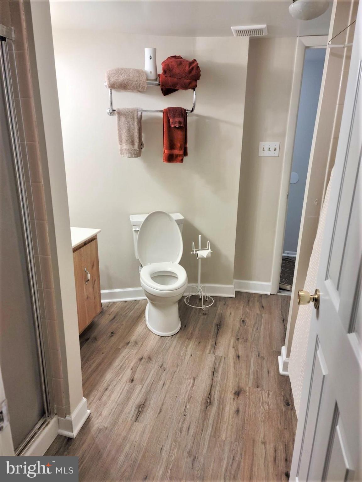 6019 Suzanne Road Waldorf, MD 20601 - Photo 16 of 20 Lower Level Bath