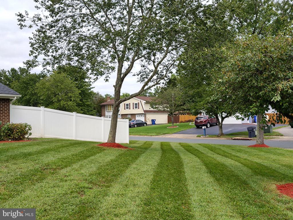 6019 Suzanne Road Waldorf, MD 20601 - Photo 18 of 20 Luxuriously Manicured Lawn!